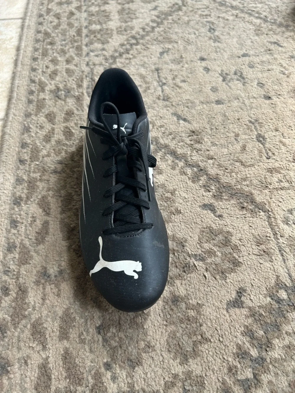 Puma sleek design